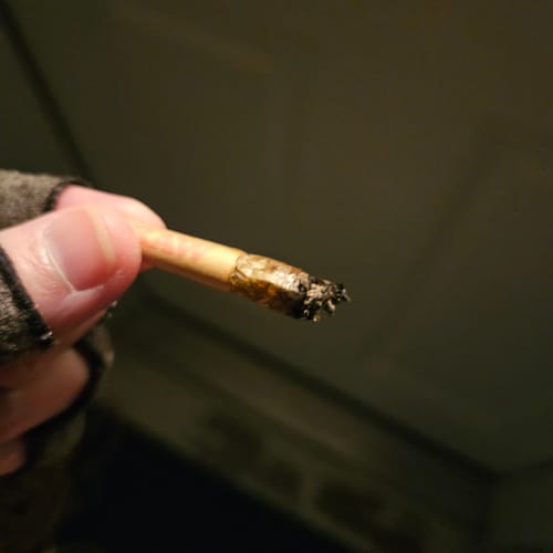 Customer photo review of White Runtz