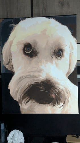 Customer photo review of Custom Pet Paint By Numbers