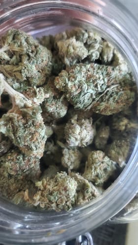 Customer photo review of Shipping Protection by Route