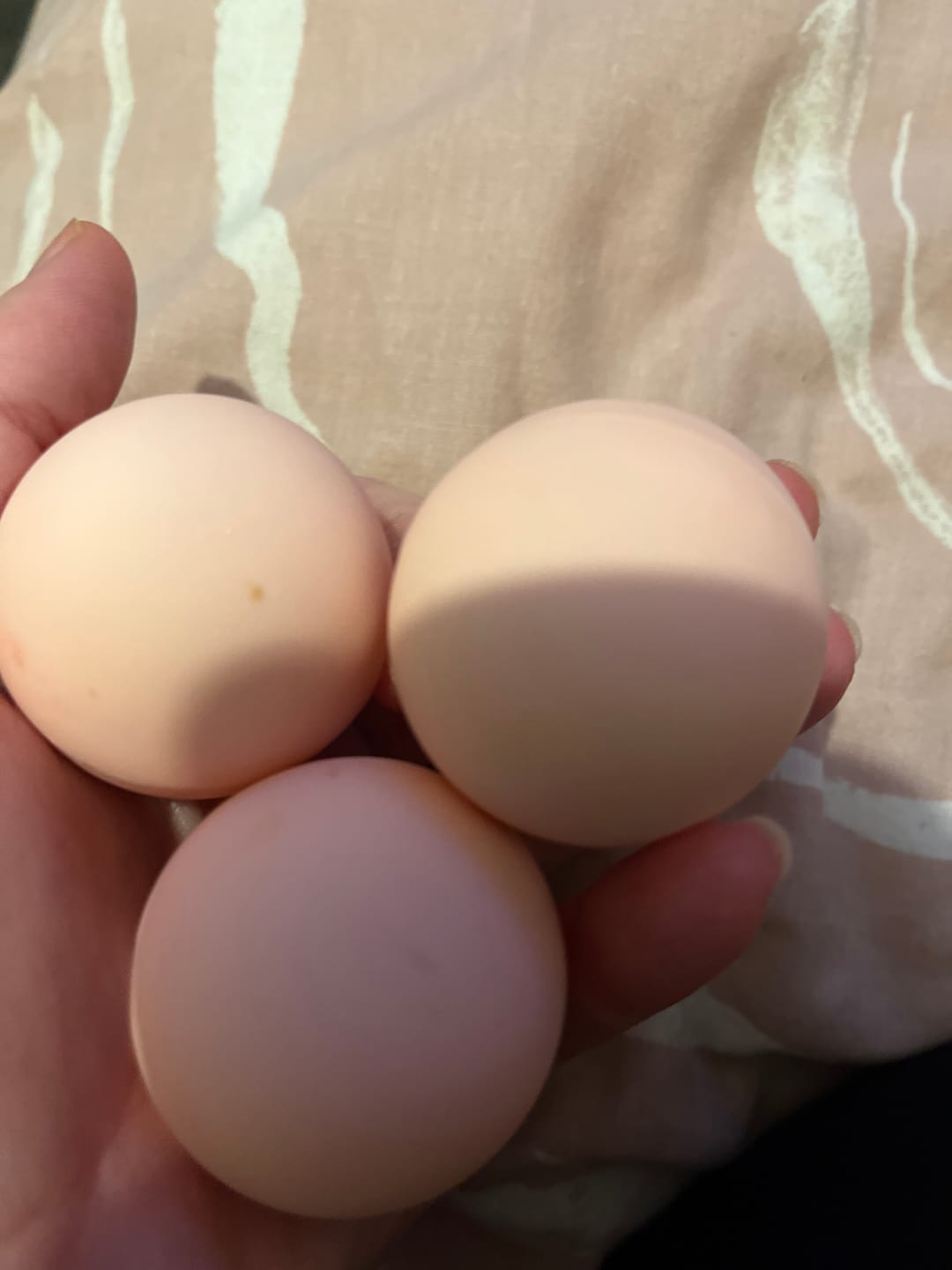 Customer photo review of P.Louise Love Bites Blush Balm Sets