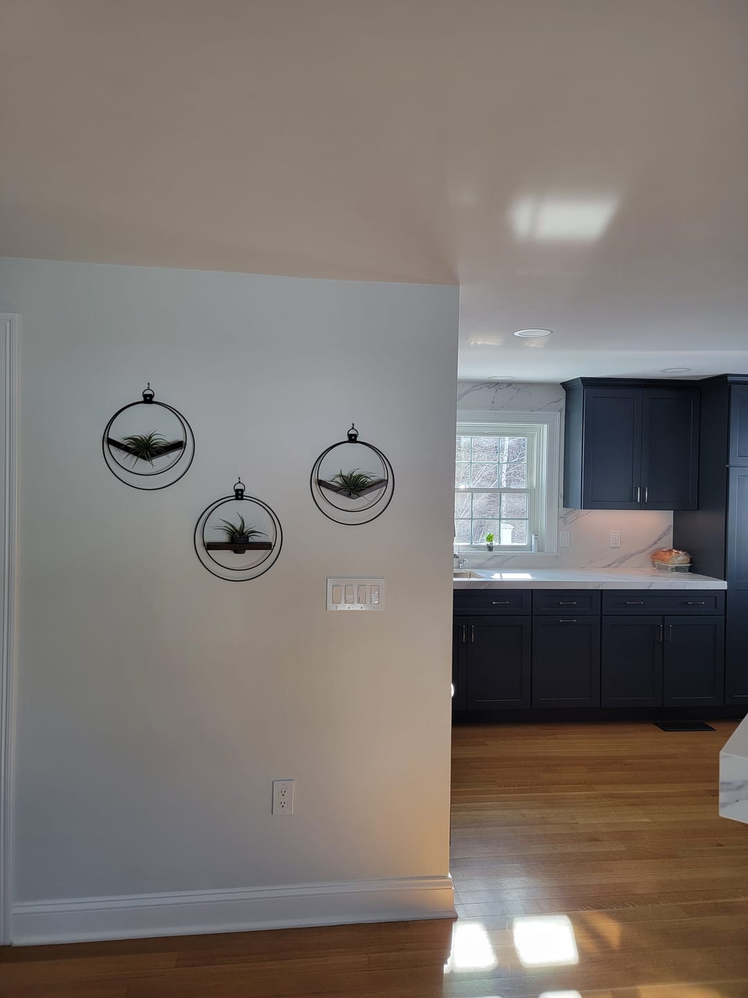 Customer photo review of Air Plant V-Hanger & Shelf Mixed Trio