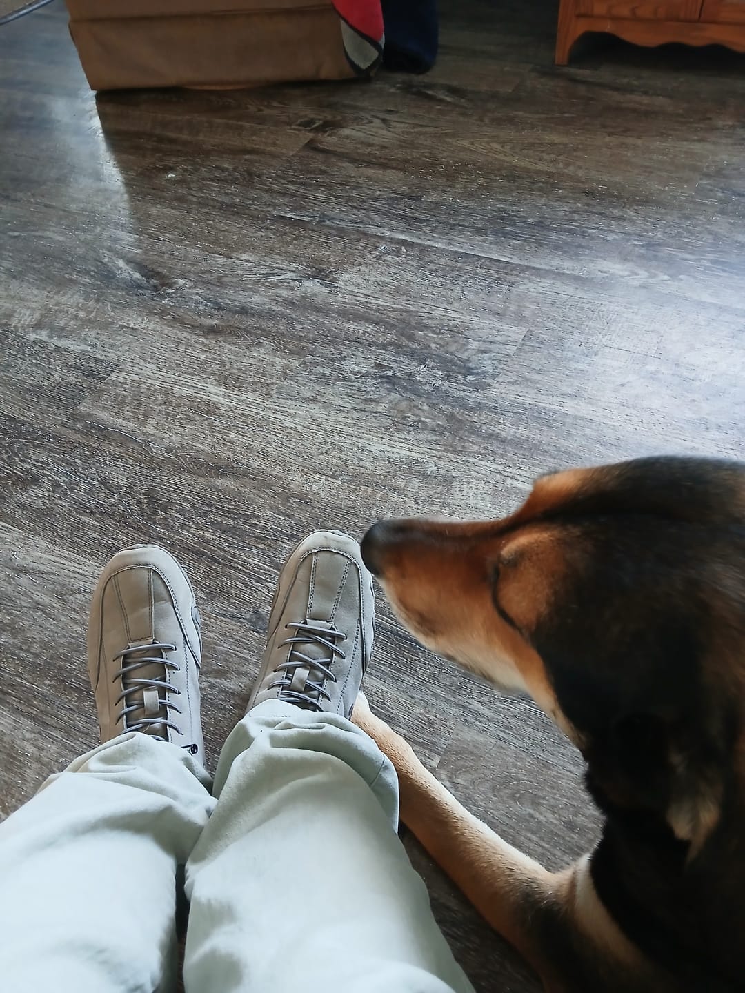 Customer photo review of Men Women Velcro Suede High Boots Beck Shoes (Unisex)