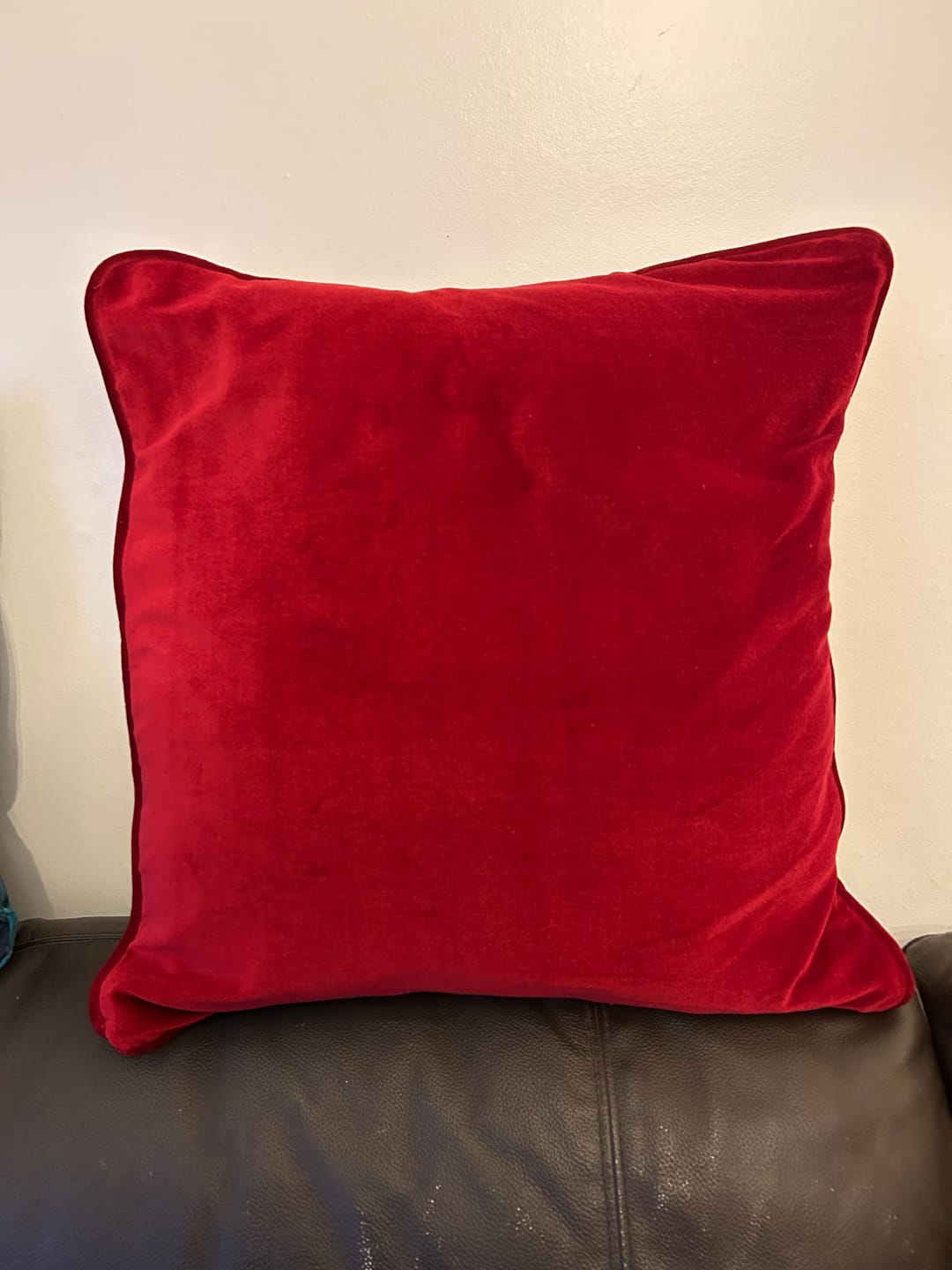 Customer photo review of Plain 100% Cotton Velvet Fabric