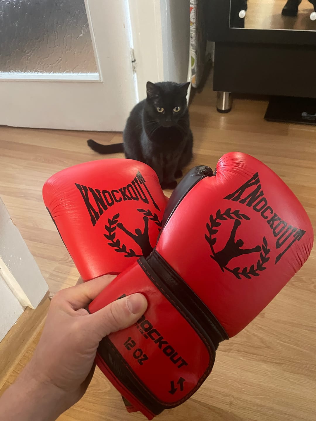 Customer photo review of Manusi Box Knockout Basic