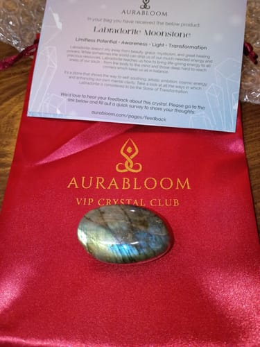 Reviewer's iridescent Labradorite Moonstone from the VIP Crystal Club shown with its red bag and info card.