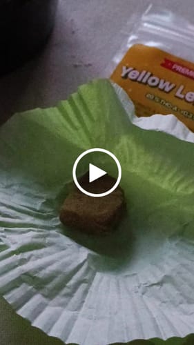 Customer video review of Yellow Lebanese THCA HASH