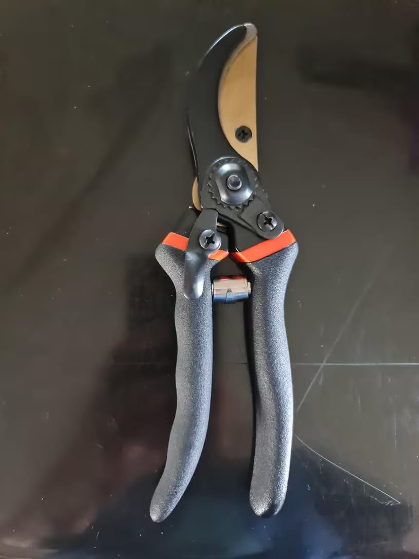 Customer photo review of Profi Bypass-Gartenschere 21,5 cm – Scharfe Klinge & Ergonomisch