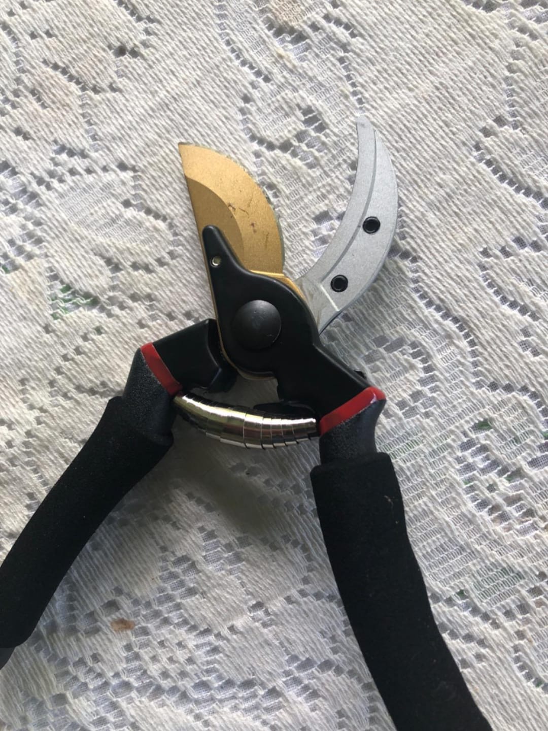 Customer photo review of Profi Bypass-Gartenschere 21,5 cm – Scharfe Klinge & Ergonomisch