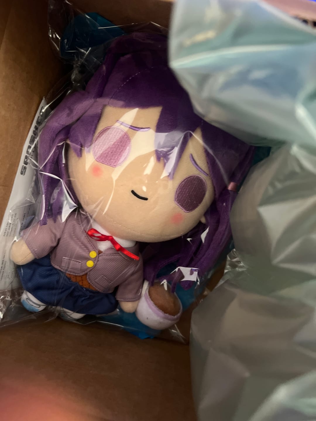 Customer photo review of Doki Doki Literature Club - Yuri Collector's Plush