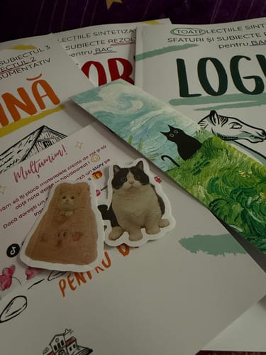 Recenzie cu fotografie de la un client despre Pachet Bacalaureat (Română + Istorie + Logică) Bacademia