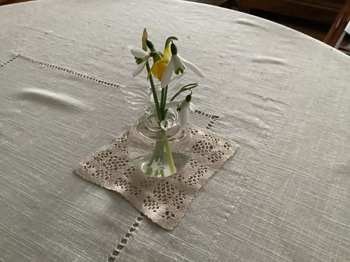 Customer photo review of Mon grand ange gardien®