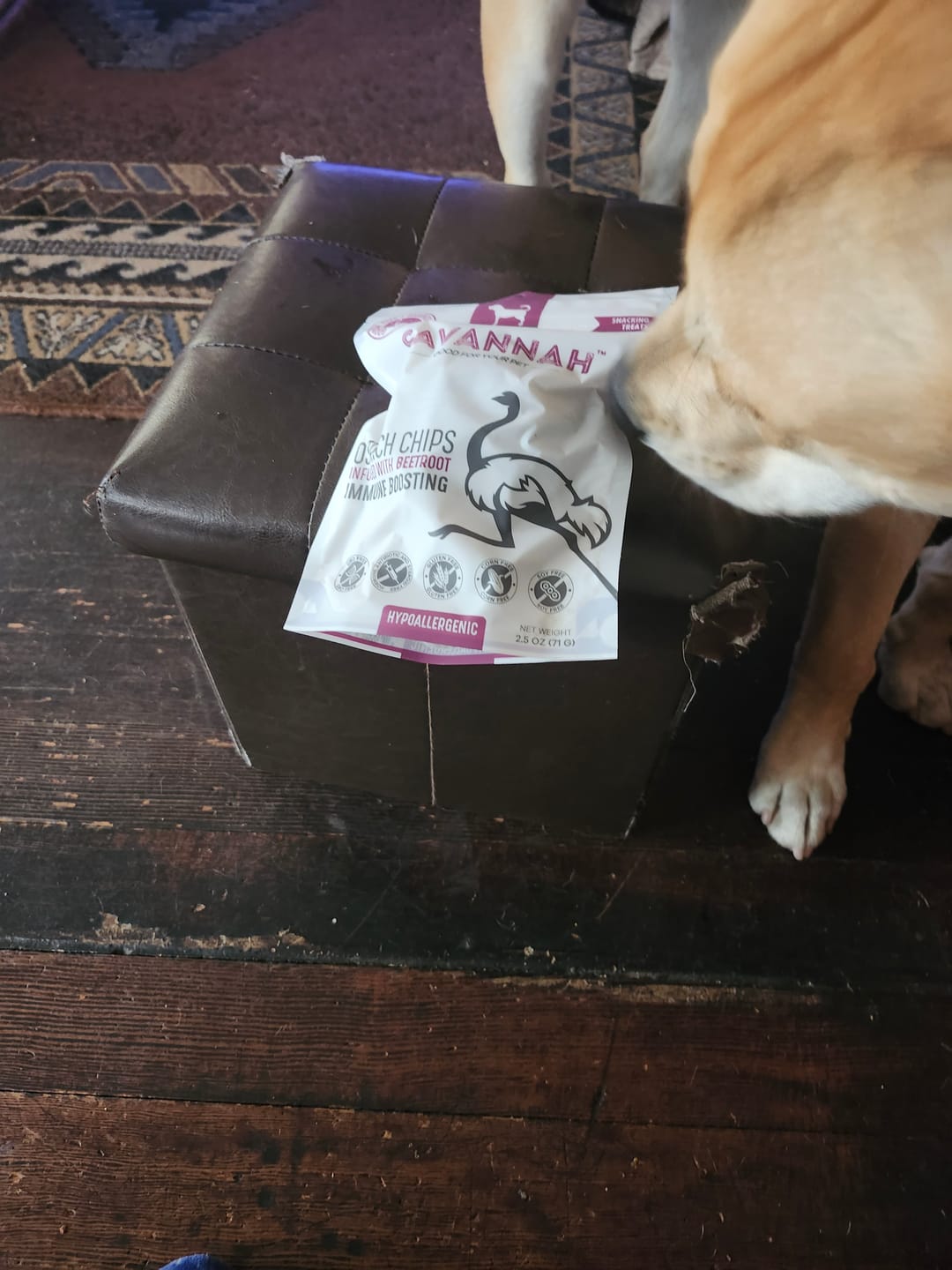 Customer photo review of Ostrich Chips with Beetroot (2.5oz): The Flavorful, Immune System Supporting Treat for Dogs