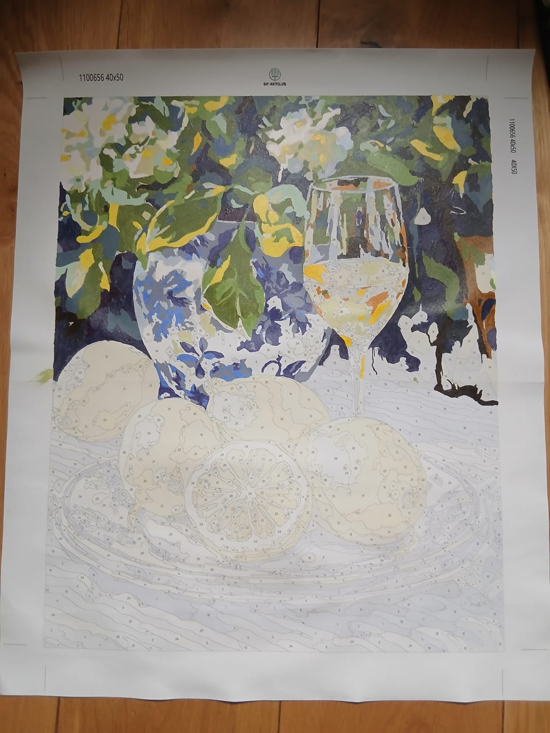 Customer photo review of Lemons and Wine | Paint by Numbers