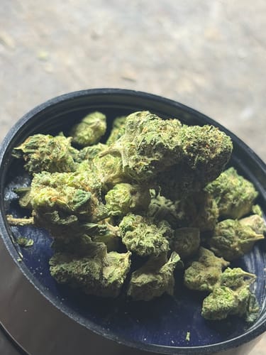 Customer photo review of Shipping Protection by Route