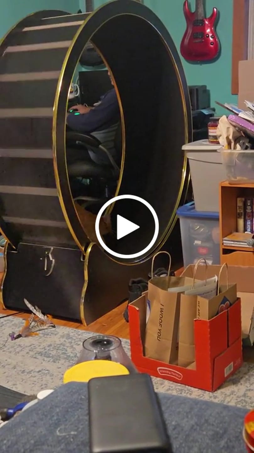 Customer video review of Nordic Beast Cat Wheel — Built for Large, High Energy Indoor Cats