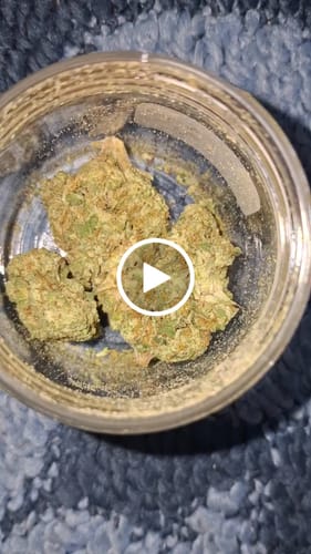 Customer video review of Forbidden Fruit 28% THCA