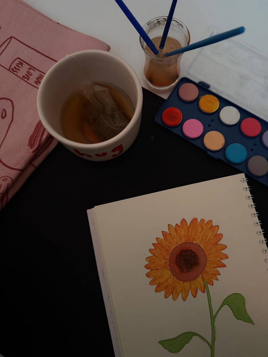 Customer photo review of Rehberli Sulu Boya Boyama Kitapları