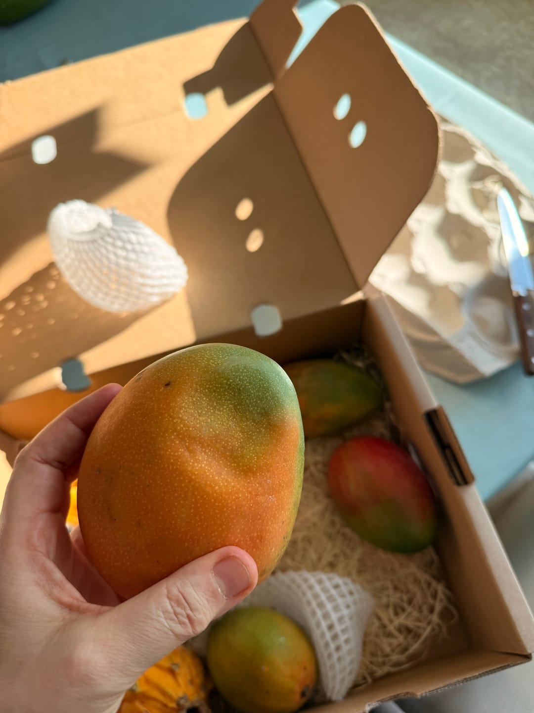 Customer photo review of Mango-Träume Mix-Box 2kg Sonderaktion %