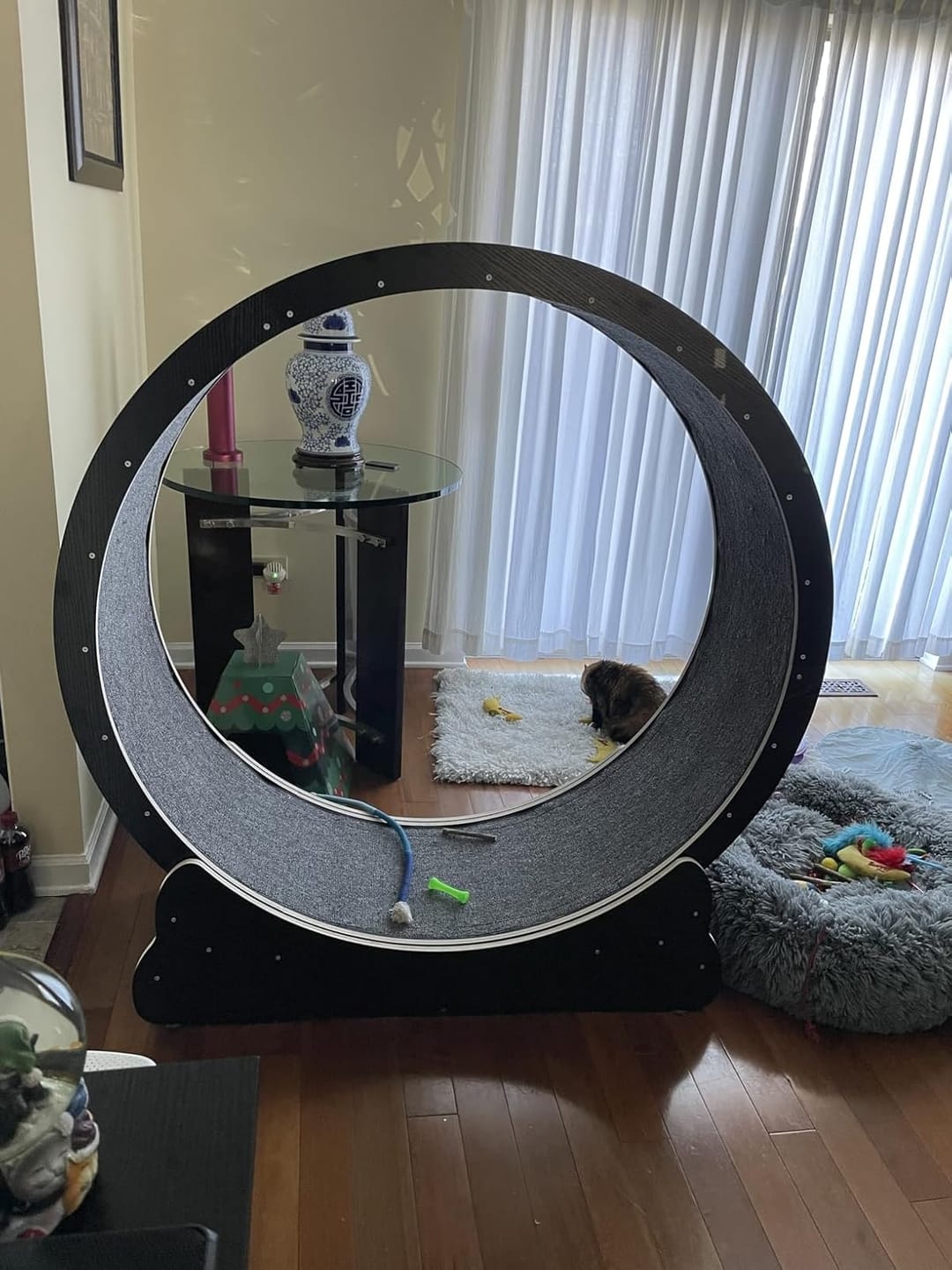 Customer photo review of Nordic Beast Cat Wheel — Built for Large, High Energy Indoor Cats