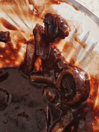 Customer photo review of Pistachio & Chocolate Frozen Treat - NEW