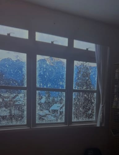 Randoria customer photo review