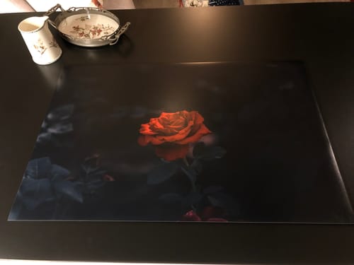 Customer photo review of Inductiebeschermer - Bloemen - Roos - Donker - Rood