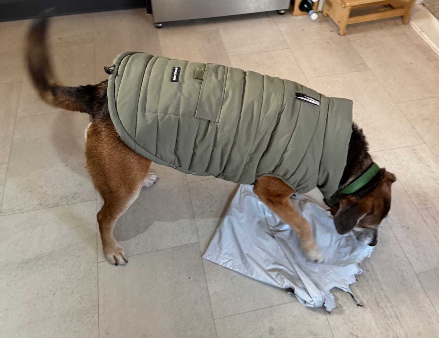 Customer photo review of WarmShield Water-Resistant Jacket - Olive