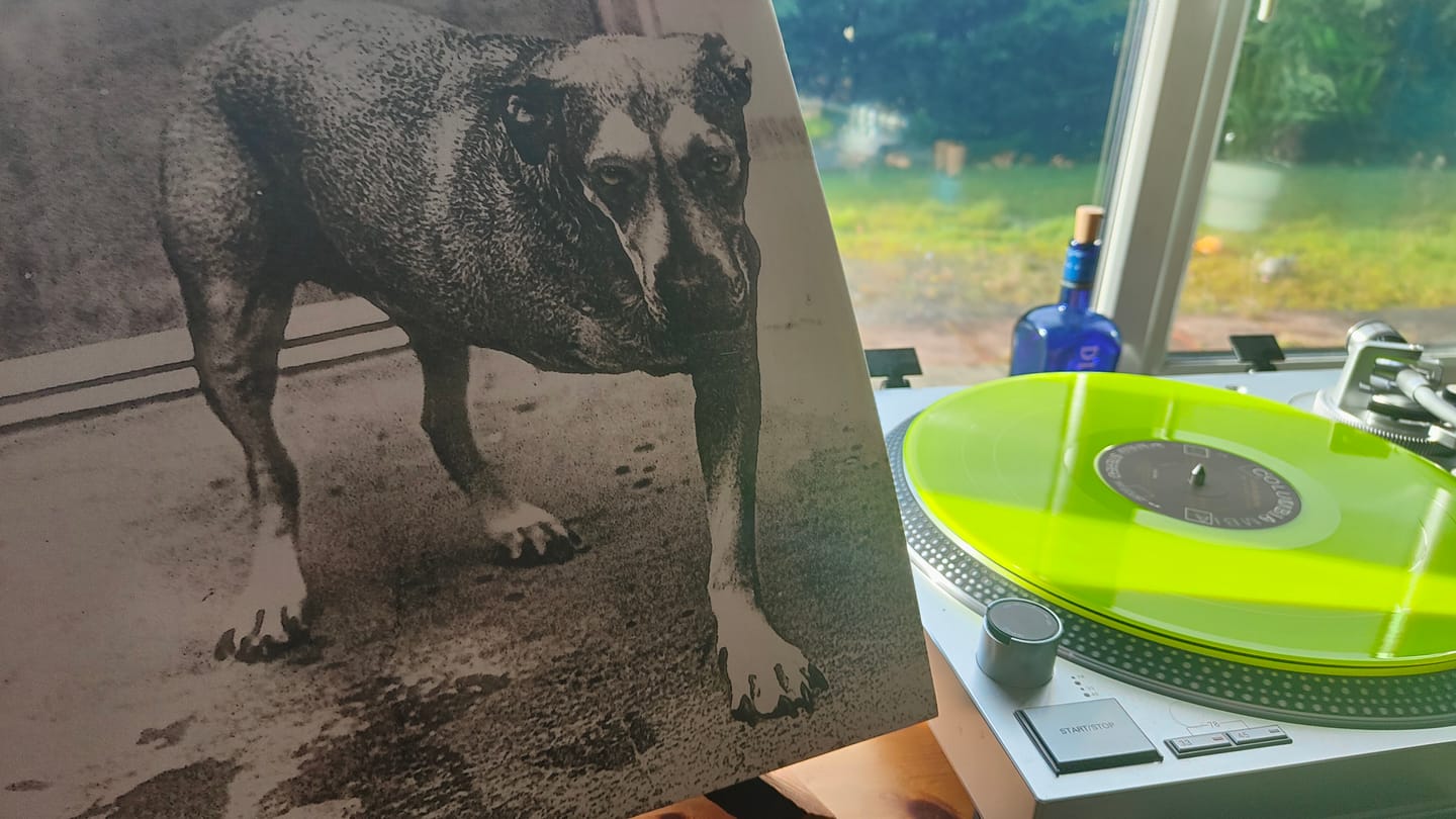 Customer photo review of Alice in Chains: 30th Anniversary (Yellow Edition) - Alice in Chains [Colour Vinyl]