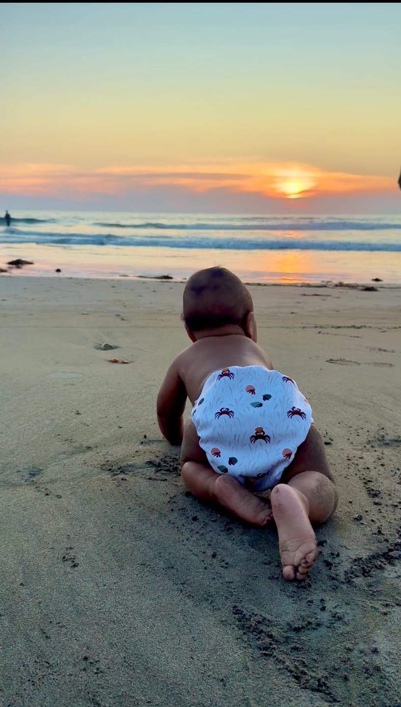 Customer photo review of Animals and Insects: Essentials Pocket Cloth Diaper with Athletic Wicking Jersey, Grows with your Baby