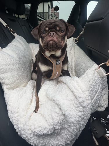 Customer photo review of The Bouclé Car Seat