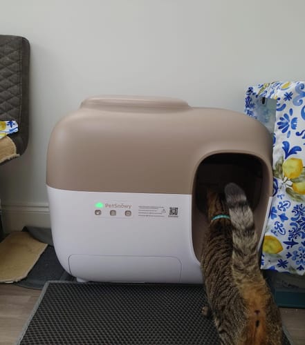Customer photo review of Self-Cleaning Litter Box