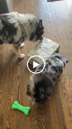 Customer video review of Beef Liver