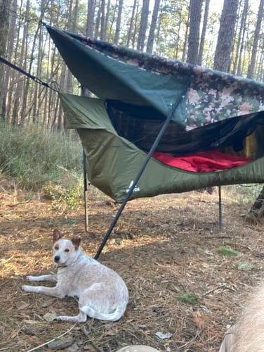 Customer photo review of Haven XL