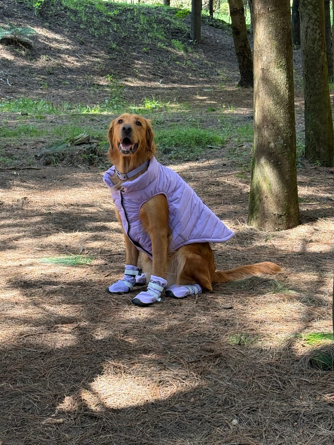 Customer photo review of WarmShield Water-Resistant Jacket - Lilac