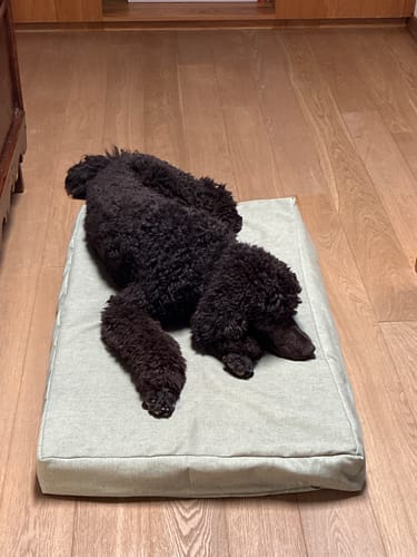 Customer photo review of Cover Materassino Mattias Verde ( Soft Touch )