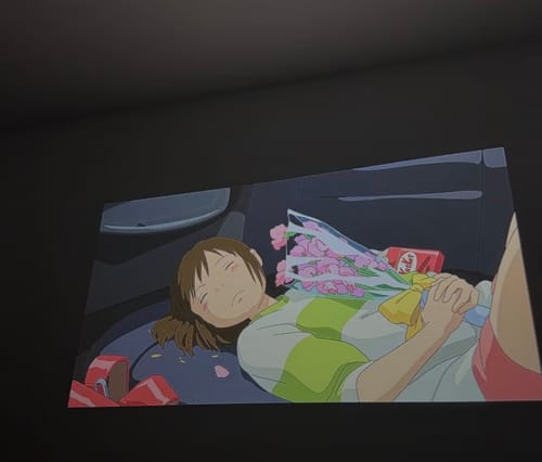 Randoria customer photo review