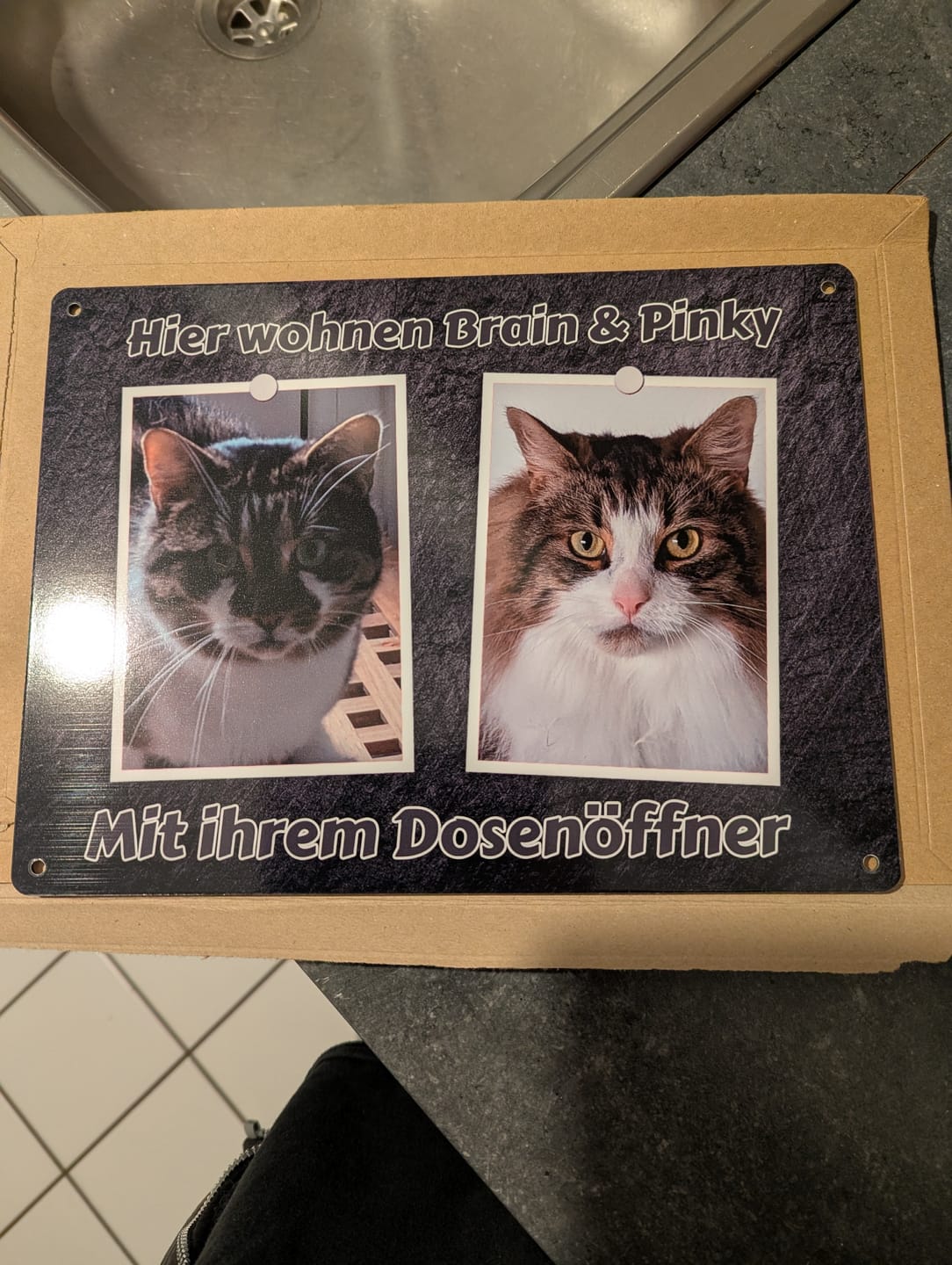 Customer photo review of Hunde-Türschild personalisiert mit Foto & Text (UV- und wetterfest)