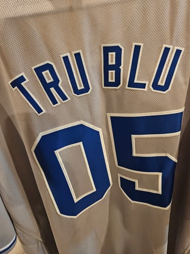 Customer photo review of Custom Gray Royal-White Classic Style Authentic Baseball Jersey