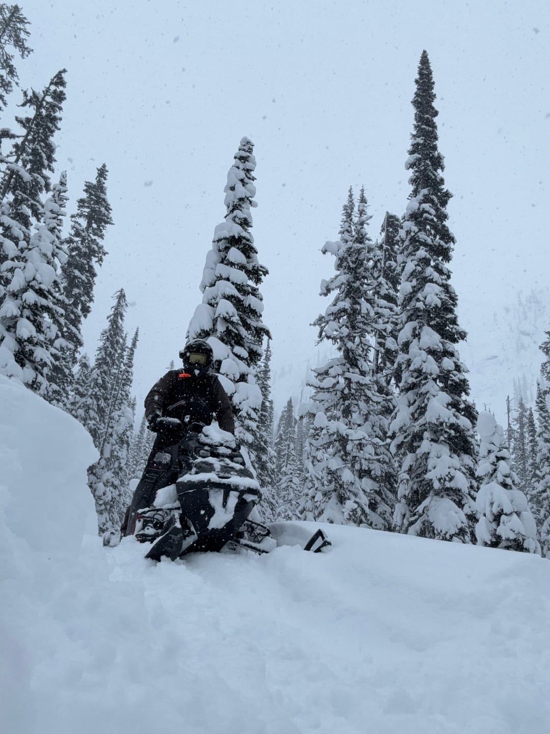 Customer photo review of RPM Gen 5 2023-2026 Ski-Doo / Lynx 850 Turbo Q-Muf Chambered Titanium Muffler