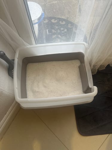 Customer photo review of 1 Month Supply – 1 Cat