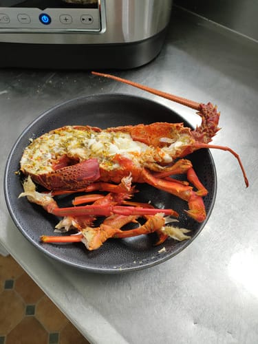 Customer photo review of Live NZ Red Crayfish