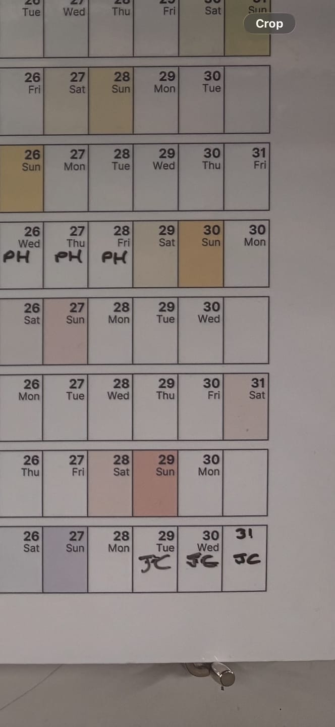 Customer photo review of Yearly Planner Rainbow