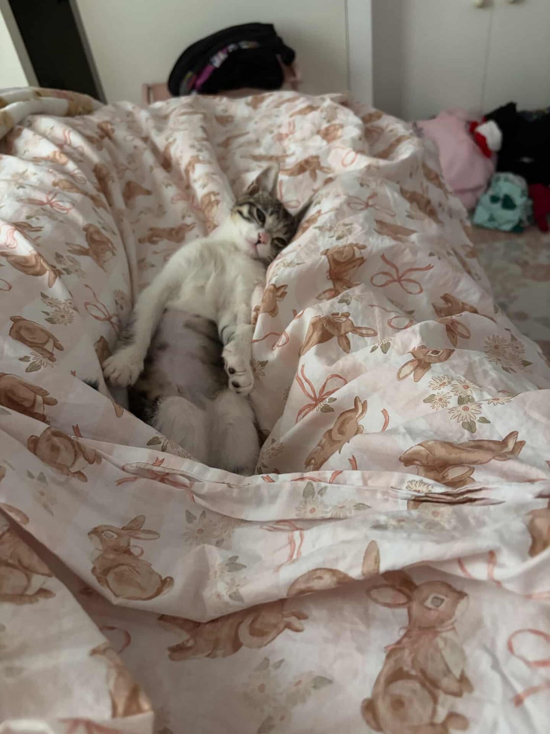 Customer photo review of The Kloud™ Kooling Blanket