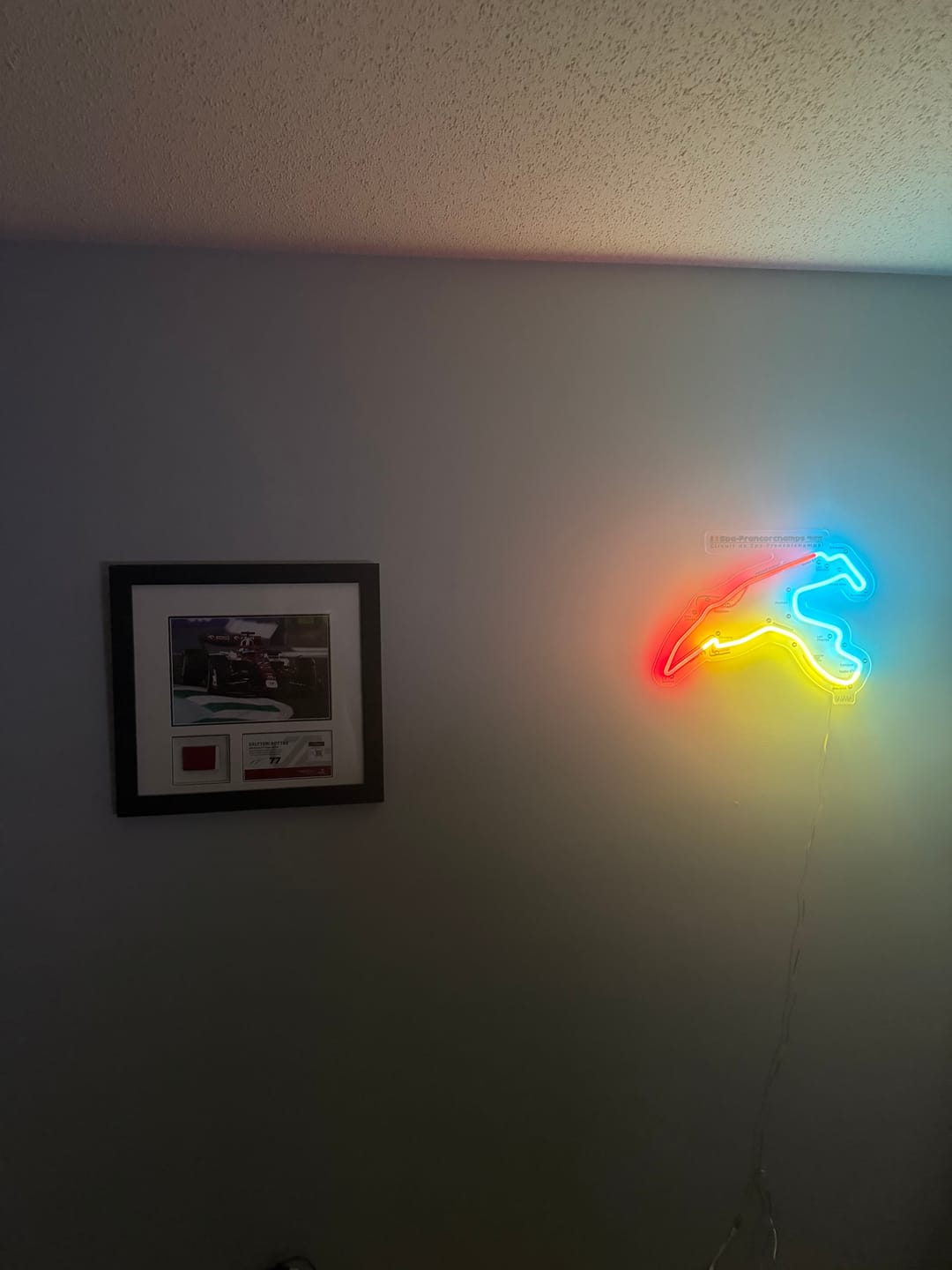 Customer photo review of Circuit De Spa-Francorchamps Neon Race Track