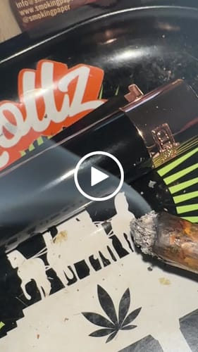 Customer video review of Montgomery Benz THCA Flower