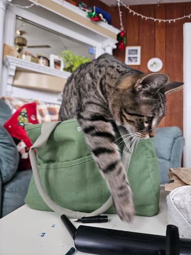 Customer photo review of Soolla Studio Bag + Pouch Bundle, Ganja Green