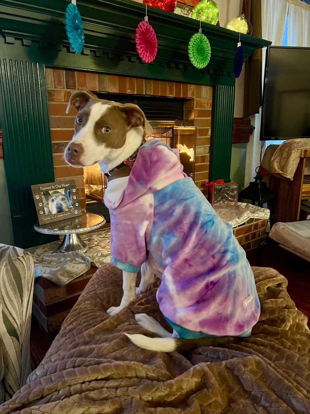 Customer photo review of Velvet Human Hoodie - 90s Retro