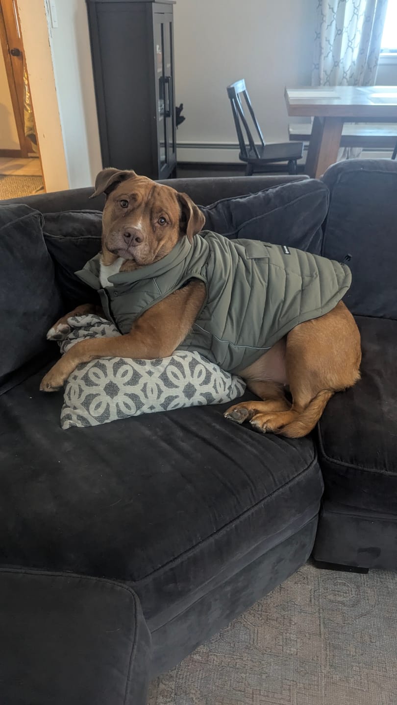 Customer photo review of WarmShield Water-Resistant Jackets