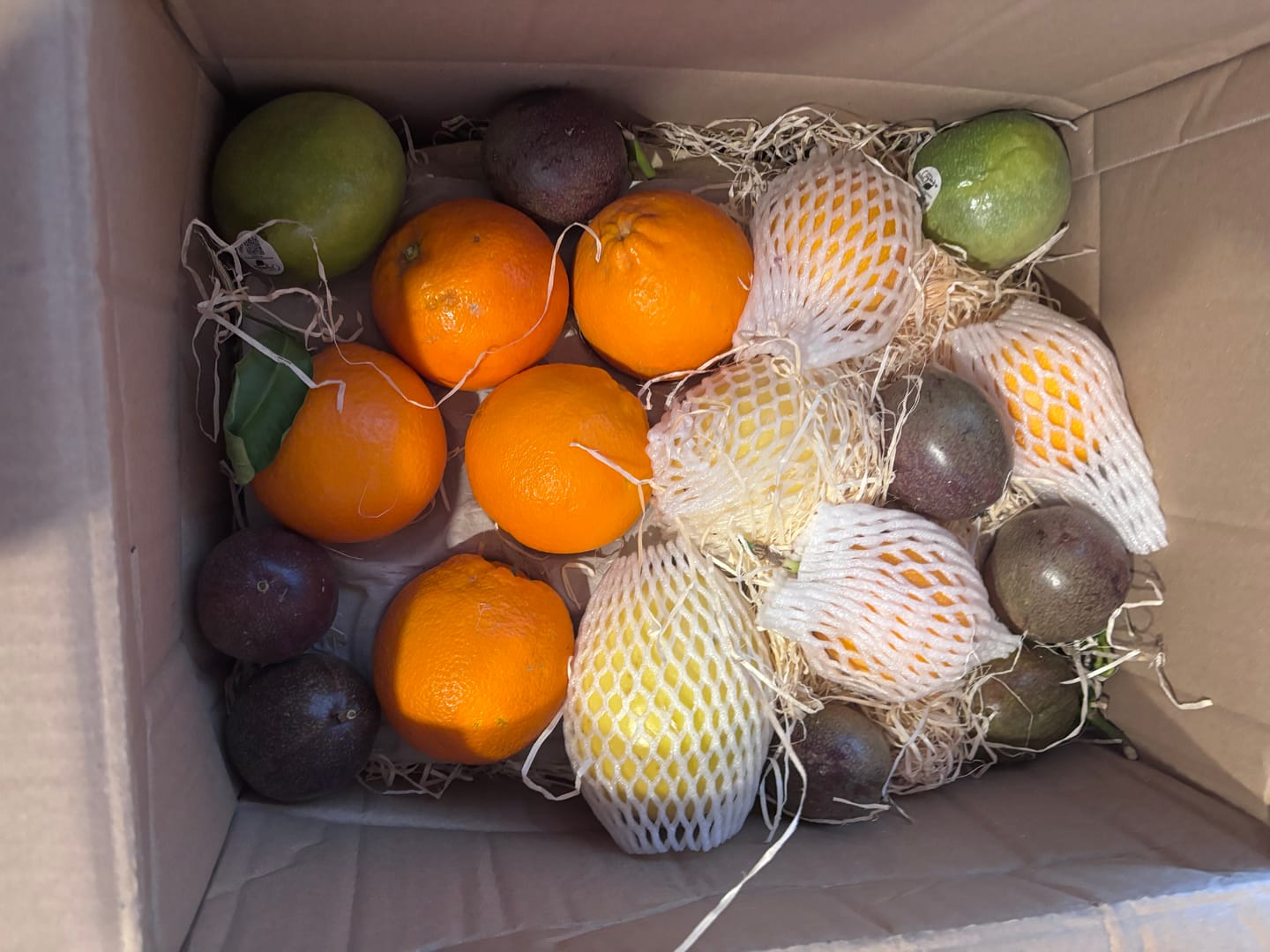 Customer photo review of "Passiflora Lovers" Maracuja-Mix Box