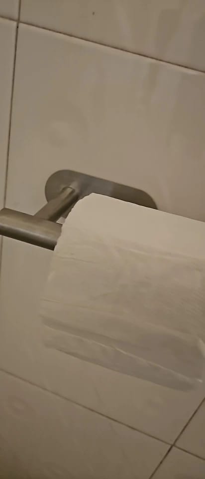 Customer photo review of Toilet Paper Holder Silhouette -Silver